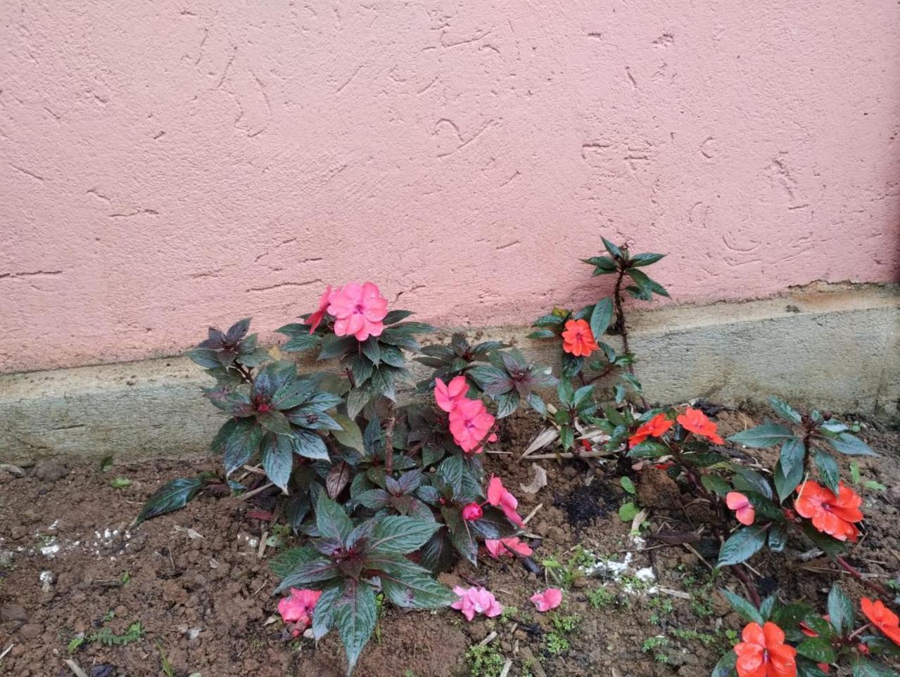 Pousada Morretes Arraial Εξωτερικό φωτογραφία