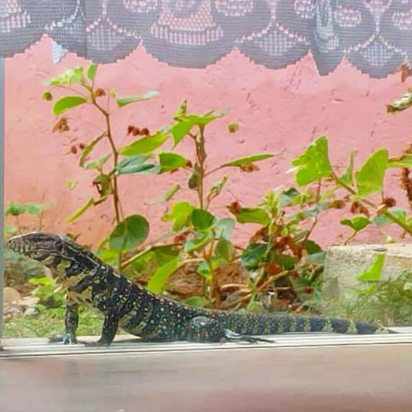 Pousada Morretes Arraial Εξωτερικό φωτογραφία